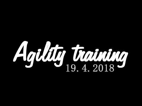 Angie | Agility training | 19. 4. 2018