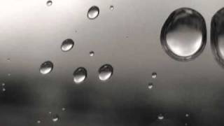 LA FINESTRA DI CASA MIA - LA CRUS