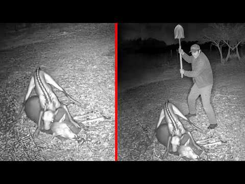 Top 10 Unexplained Figures Caught Clearly on CCTV Footage