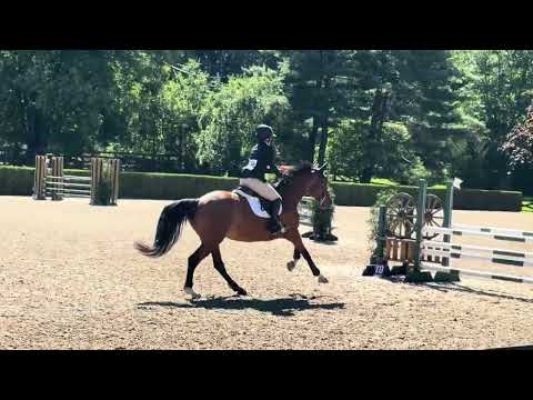 Akari Van't Glemhof Z video 6