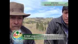 preview picture of video 'El INIAF cosechó las 1.555 variedades de papa, patrimonio del Estado Boliviano'