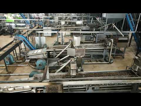 Fully Auto RCN Shelling Line