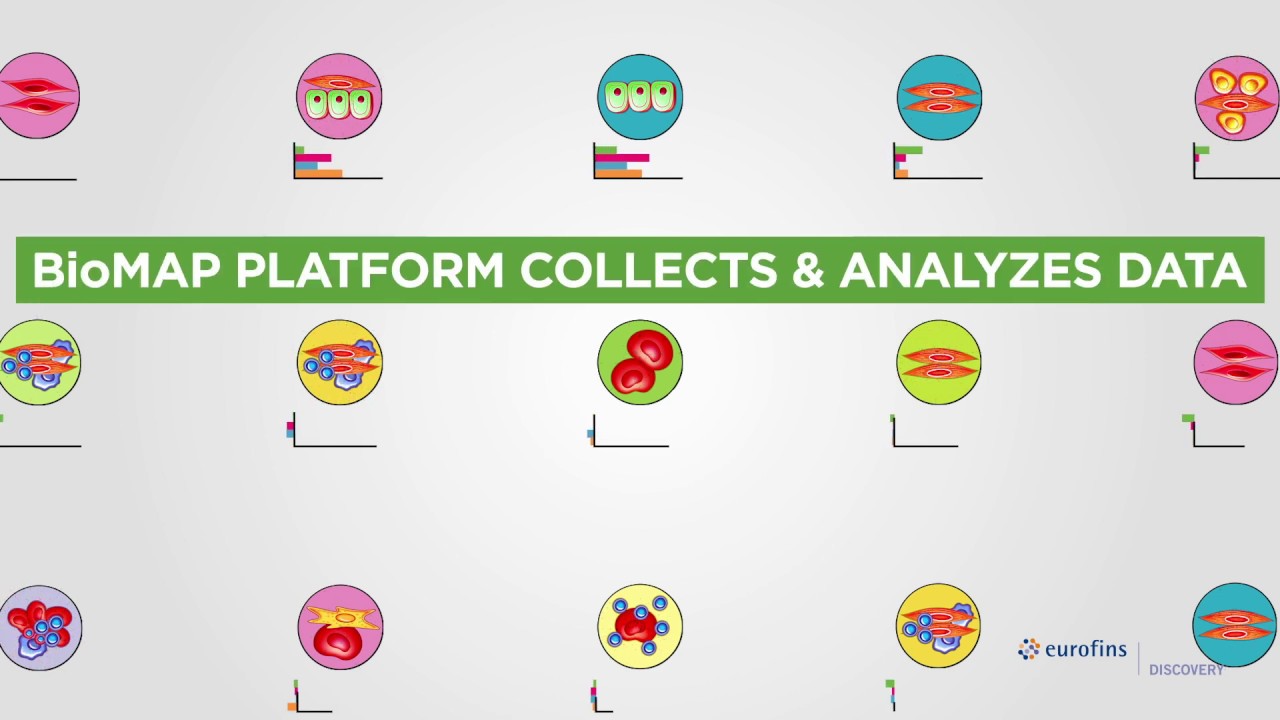 BioMAP® Human Phenotypic Profiling Services