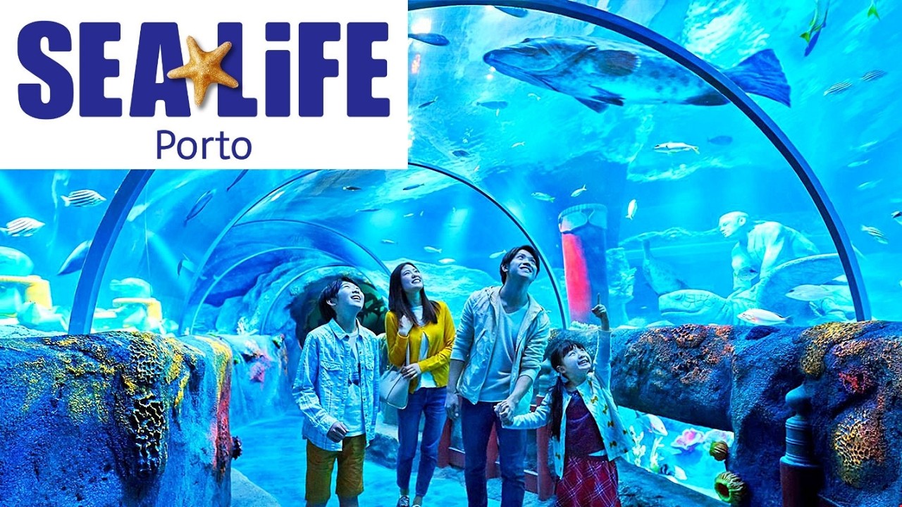 Discover marine life at SEA LIFE Porto.