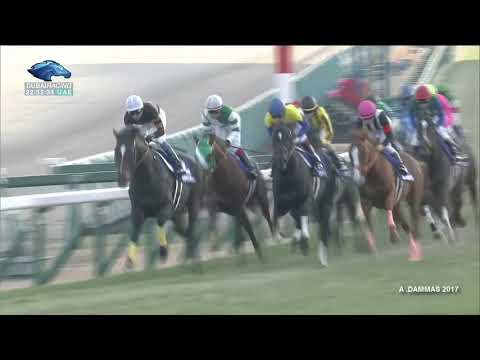 2017 Arima Kinen (The Grand Prix) - Kitasan Black