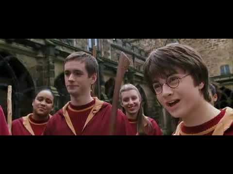 Harry Potter and the Chamber of Secrets - Malfoy calls Hermione a Mudblood as Gaeilge
