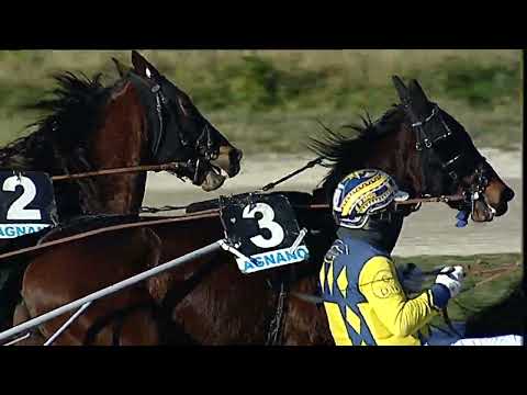 Napoli Trotto 05/02/2023 - 4ª corsa