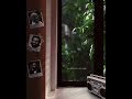 Hridayathin Madhupathram Lyrics Video Malayalam Status Nostalgia