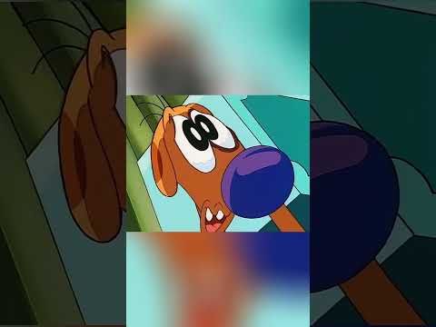 The magician cut the cat and dog's bodies apart, and they just couldn't be put back together.