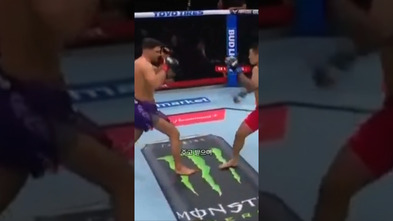UFC 고석현 vs 장폴 하이라이트 요약, 아쉬운 결과