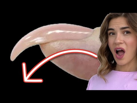 Tips on Curved Nails !? 🙀 Here’s how! Portable E-file Review by Delanie