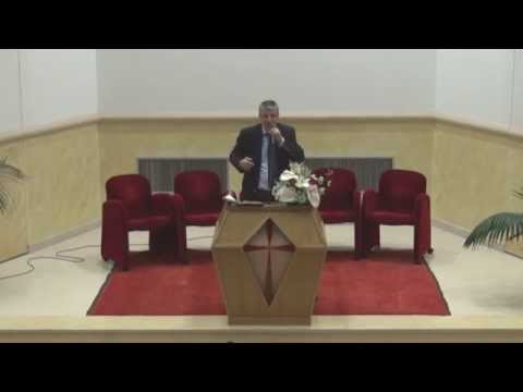 CASNICIA INTRE FLOARE SI SPIN --- DANIEL DUTA