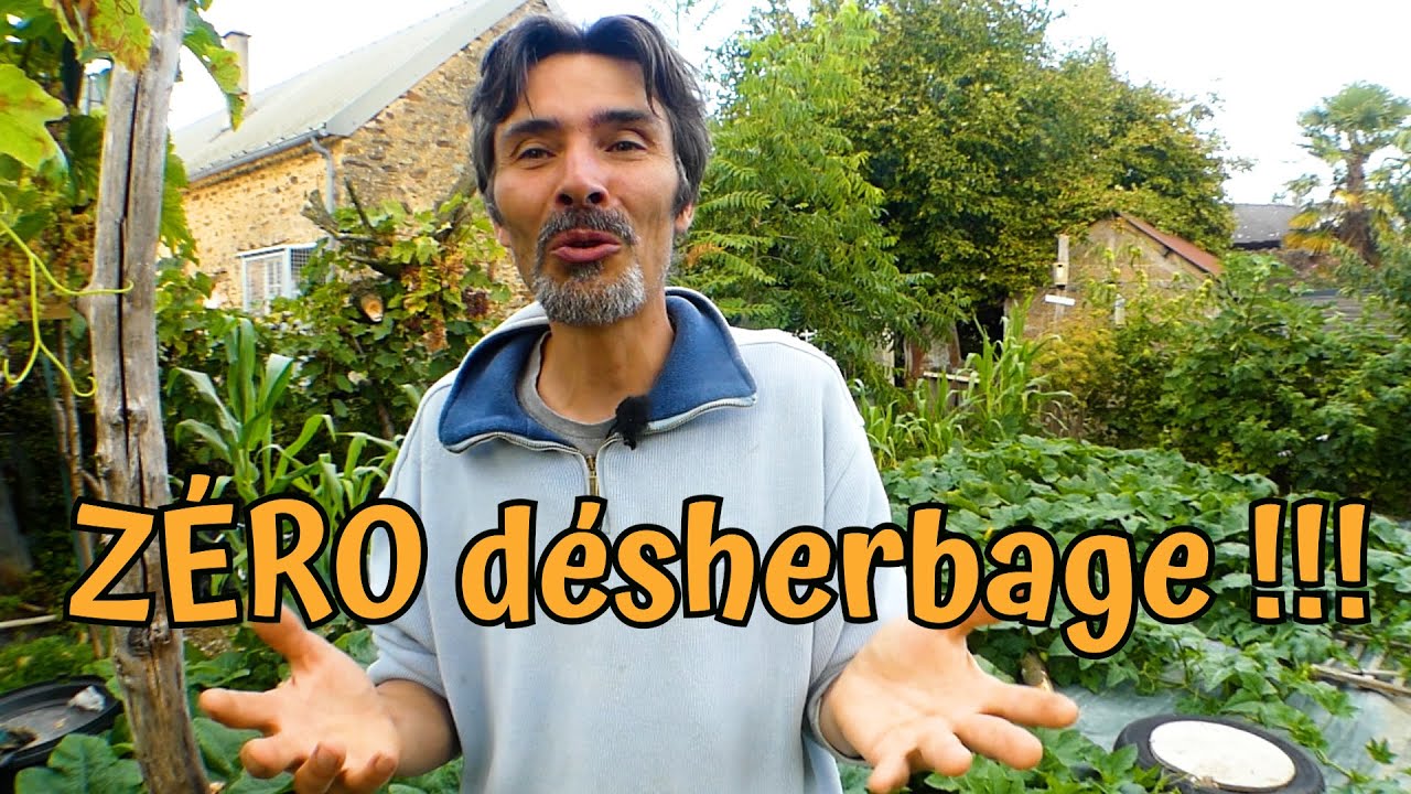 Éliminer toutes les mauvaises herbes écologiquement en produisant des légumes