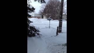 Another Winter Morning II