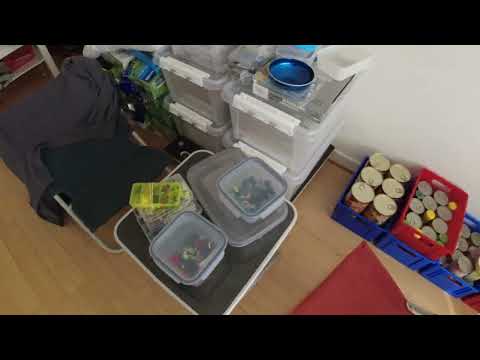 MongoTV_9592 - Mongo Madskole - HAKKEBØF Med RIS og BRUN SOVS