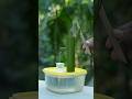 Mini Bamboo Fountain A Zen Oasis In A Box