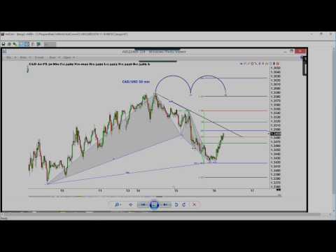 November 16th Trade What You See with Larry Pesavento on TFNN
