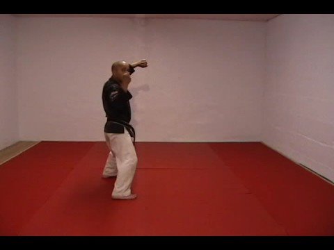 CASA DE KENPO - AMERICAN KENPO - SHORT FORM 2