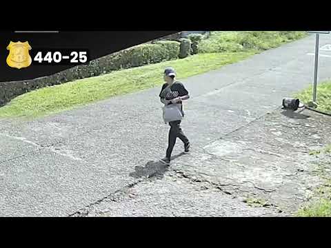 440. Sospechoso de Asalto en Pérez Zeledón, San José.