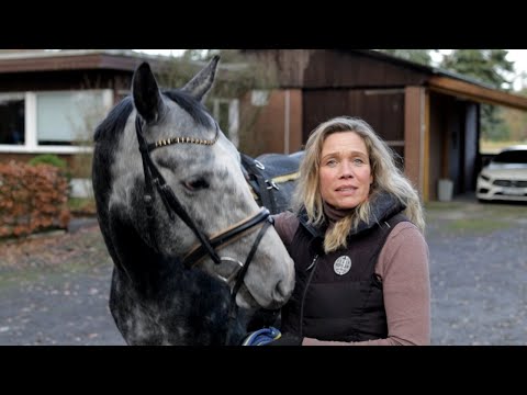 Massgefertigter Sattel passt nicht - Falco & Bourbon Folge 2