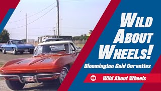 Bloomington Gold Corvettes | Wild About Wheels