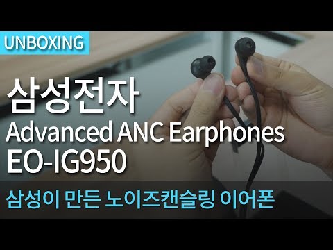 �Ｚ���� Advanced ANC EO-IG950