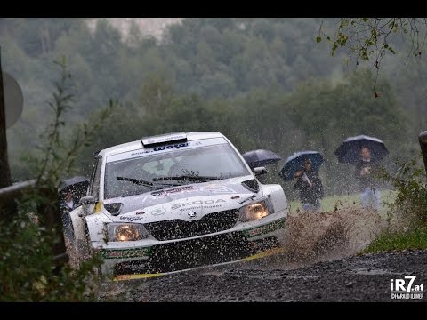 Raimund Baumschlager - Die Liezen Rallye 2015