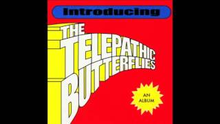 The Telepathic Butterflies - All Very Hoopla