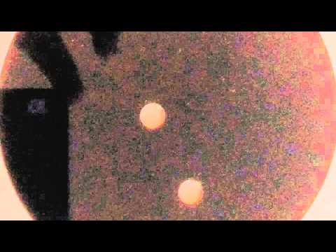 Digital - Blood money - Dubplate