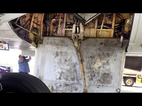 Video shows stowaway climbing off jet