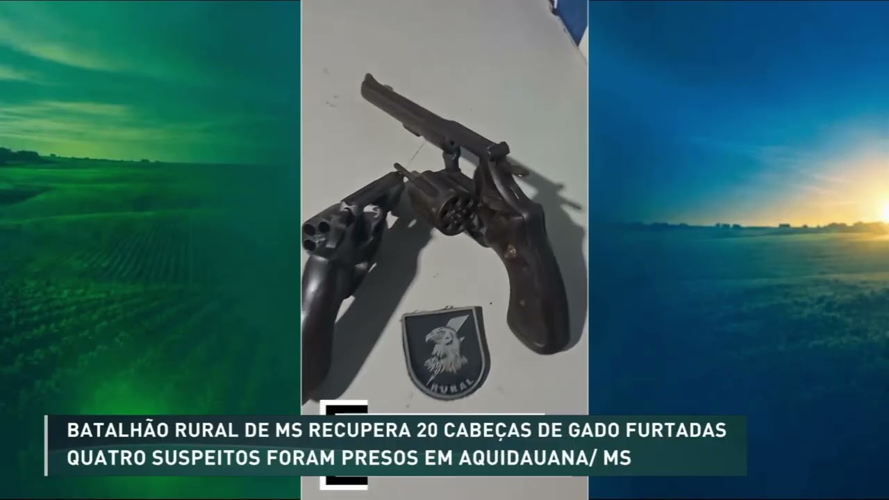 Batalhão Rural de MS recupera 20 cabeças de gado furtadas
