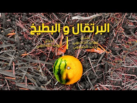 فيلم قصير : البرتقال و البطيخ | 2022