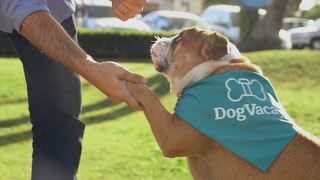 DogVacay - The Airbnb of Animal Care