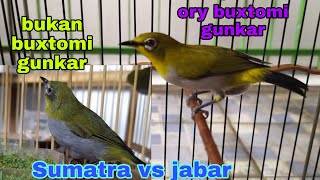 Download lagu ciri2 pleci buxtomi yg bagus buat lomba. buxtomi gunkar ory. Dan harga nya naik di tahun 2021 ini mp3 Download lagu ciri2 pleci buxtomi yg bagus buat lomba. buxtomi gunkar ory. Dan harga nya naik di tahun 2021 ini mp3