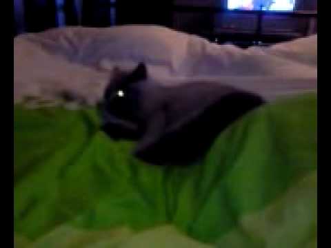 haha dat beest spoort niet.. @me bed!.