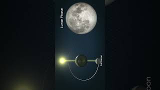 Moon phases #shorts #shortsvideo #shortsfeed #space #moonphases #short