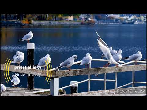 kirido - priest ellis