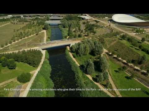 Biodiversity Action Plan (BAP) for Queen Elizabeth Olympic Park