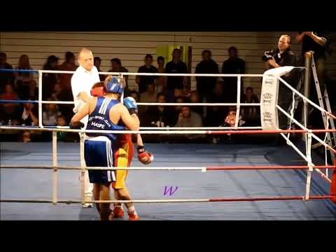 Box-Night Boxen Vergleichskampf - Ermin Avdic vs. Roman Anzifirow