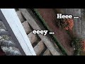 Oasis - Going Nowhere (Lyric Video) - Sandityas Dwi Pratama Oasis - Going Nowhere (Lyric Video)