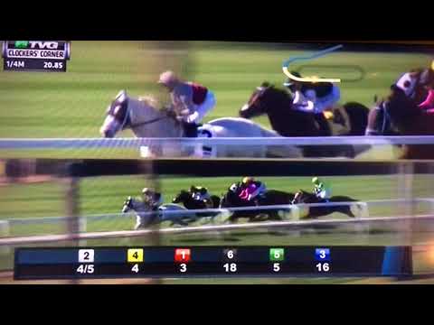 CLOCKER'S CORNER (G STAKES)1/28/18 - CALCULATOR !!!