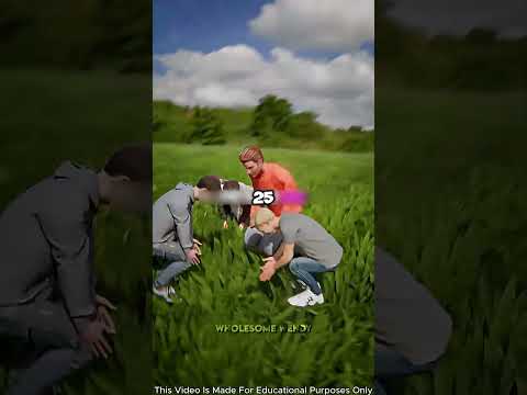 Гитара на ферме в честь любимой жены 🎸🌳💔