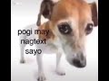 Pogi may nag text sayo