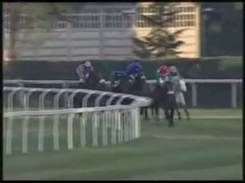 Speciale Jockey Club 2011 (GR 1)