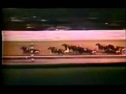 1984 Yonkers Raceway ON THE ROAD AGAIN Cane Pace 3rd Elimination