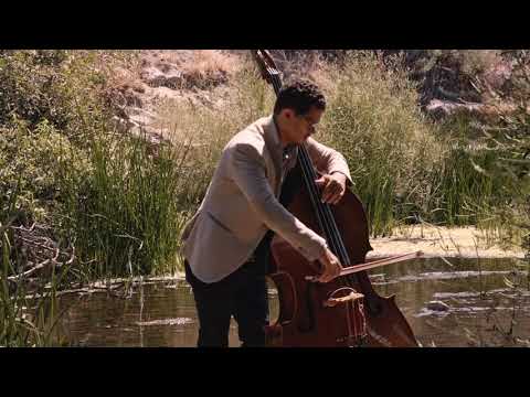 Marlon Martinez - J.S. Bach "Bourrée 2" (Tiny Swamp Concerts)