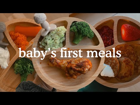 WE’RE STARTING OUR BABY LED WEANING JOURNEY???????????????? Sunny’s first 14 days of solids