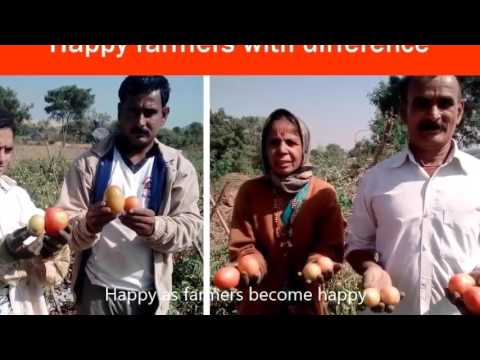 Brown Liquid Stress Out Growth Promoting, Packaging Size: 50/200 Ltr Drum