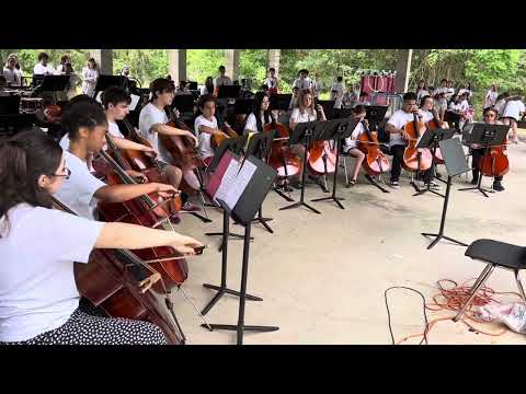 Pink Panther by Henry Mancini