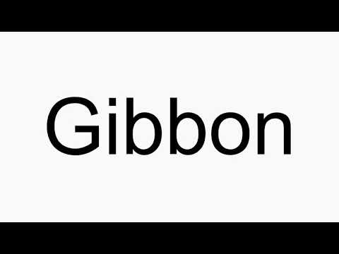 How to pronounce Gibbon